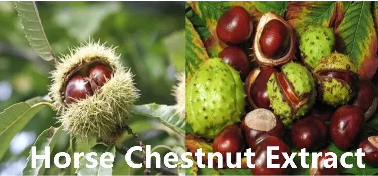 Horse Chestnut Extract.png